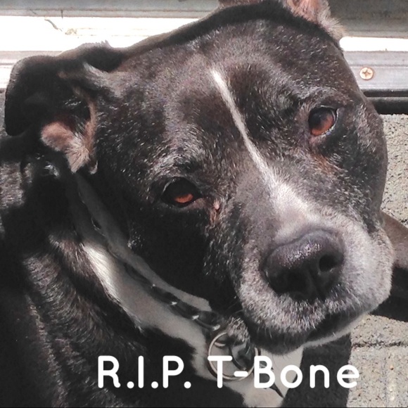 Meet your Posher, Tania - Picture 16 of 16